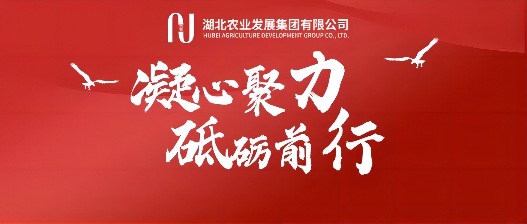 勇毅前行擔使命 攻堅克難譜新篇｜湖北(běi)農發集團黨員(yuán)幹部職工(gōng)熱議年度工(gōng)作大(dà)會暨職代會精神（二）